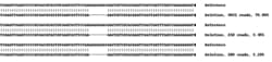 Abcam Human ALDH1A1 knockout A549 cell line