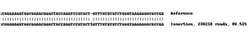 Abcam Human ACP1 (Acid phosphatase) knockout HEK-293 cell line
