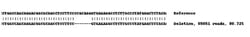 Abcam Human NDRG1 knockout HEK-293 cell line