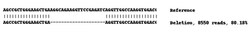 Abcam&nbsp;Human P4HB knockout A-431 cell lysate.