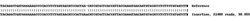 Abcam&nbsp;Human ACO1 knockout U-2 OS cell lysate.