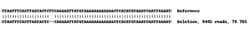 Abcam&nbsp;Human SUV39H2 knockout U-2 OS cell lysate.