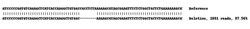 Abcam Human HIST1H1C (Histone H1.2) knockout A549 cell lysate.