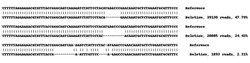 Abcam&nbsp;Human KMT5A knockout HEK-293 cell lysate.