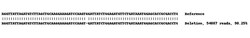 Abcam Human ABCG2 knockout A549 cell lysate.
