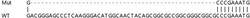 Abcam&nbsp;Human YIPF3 knockout HEK-293T cell lysate.