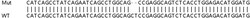 Abcam&nbsp;Human USP42 knockout HeLa cell lysate.