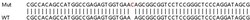 Abcam&nbsp;Human UBQLN1 (Ubiquilin) knockout HeLa cell lysate.