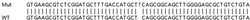 Abcam&nbsp;Human UBE2O knockout HeLa cell lysate.