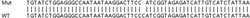 Abcam&nbsp;Human UBE2G1 knockout HEK-293T cell lysate.
