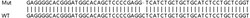 Abcam&nbsp;Human TRIM14 knockout A549 cell lysate.