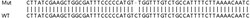 Abcam&nbsp;Human TMSB10 (Thymosin beta 10) knockout HCT116 cell lysate.