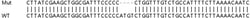 Abcam&nbsp;Human TMSB10 (Thymosin beta 10) knockout HEK-293T cell lysate.