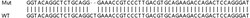 Abcam&nbsp;Human TLDC2 (C20orf118) knockout A549 cell lysate.