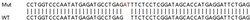 Abcam&nbsp;Human RTP4 knockout A549 cell lysate.