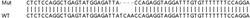 Abcam&nbsp;Human PTPN13 (FAP-1) knockout HeLa cell lysate.