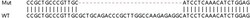 Abcam&nbsp;Human PQBP1 knockout HEK-293T cell lysate.