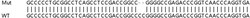 Abcam&nbsp;Human PLOD3 knockout HEK-293T cell lysate.