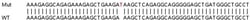 Abcam&nbsp;Human DTX3 knockout HeLa cell lysate.