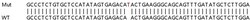 Abcam&nbsp;Human DNAJC13 (RME-8) knockout HeLa cell lysate.