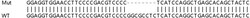 Abcam&nbsp;Human CREB3L2 (BBF2H7) knockout HeLa cell lysate.