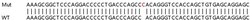 Abcam Human CD2BP2 knockout HEK-293T cell lysate.