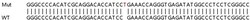 Abcam&nbsp;Human UBXN6 (UBXD1) knockout HEK-293T cell lysate.