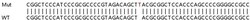 Abcam&nbsp;Human TP53INP2 knockout HEK-293T cell lysate.
