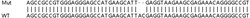Abcam Human TECR (GPSN2) knockout HEK-293T cell lysate.