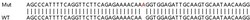 Abcam&nbsp;Human SP140 knockout A549 cell lysate.