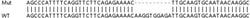 Abcam&nbsp;Human SP140 knockout A549 cell lysate.