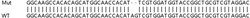 Abcam&nbsp;Human SHPK (SHK) knockout HEK-293T cell lysate.