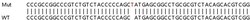 Abcam&nbsp;Human SH3BGRL3 knockout HEK-293T cell lysate.