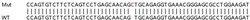 Abcam Human RARRES3 (TIG3) knockout A549 cell lysate.