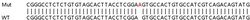 Abcam Human PREP (Prolyl Endopeptidase) knockout HEK-293T cell lysate.