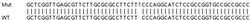 Abcam&nbsp;Human PMAIP1 (Noxa) knockout A549 cell lysate.