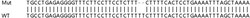 Abcam&nbsp;Human PHF11 knockout A549 cell lysate.
