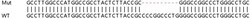 Abcam Human PDCD6 (ALG-2) knockout HEK-293T cell lysate.
