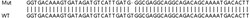 Abcam&nbsp;Human KDM7A (JHDM1D) knockout A549 cell lysate.