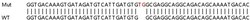 Abcam&nbsp;Human KDM7A (JHDM1D) knockout A549 cell lysate.