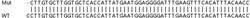 Abcam&nbsp;Human GRK4 knockout HeLa cell lysate.
