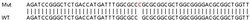 Abcam&nbsp;Human GLRX2 (GRX2) knockout HeLa cell lysate.