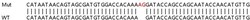 Abcam&nbsp;Human EMP1 knockout HeLa cell lysate.