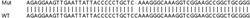 Abcam&nbsp;Human BRD3 knockout HEK-293T cell lysate.