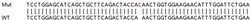 Abcam Human TXNDC9 knockout HeLa cell lysate.