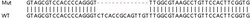 Abcam&nbsp;Human TRIP10 (Cip4) knockout HEK-293T cell lysate.