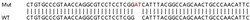 Abcam&nbsp;Human TDRD7 knockout A549 cell lysate.