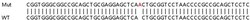 Abcam&nbsp;Human PARL knockout HEK-293T cell lysate.