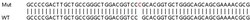 Abcam&nbsp;Human NPR1 (Natriuretic Peptide Receptor A/GC-A) knockout HeLa cell lysate.