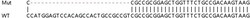 Abcam&nbsp;Human NASP knockout HEK-293T cell lysate.